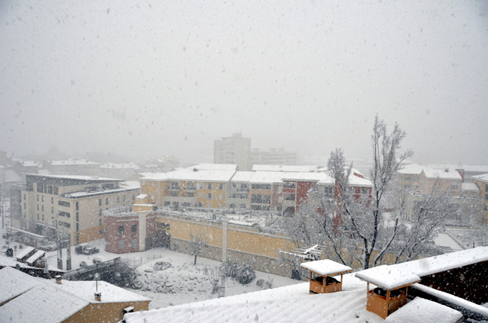 Aubagne neige 7 1 2009 (23)10h45