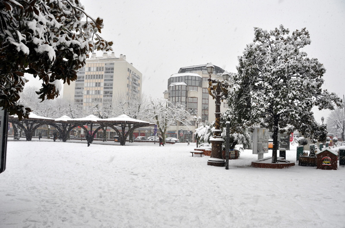 Aubagne neige 7 1 2009 (35)10h59 cours Foch