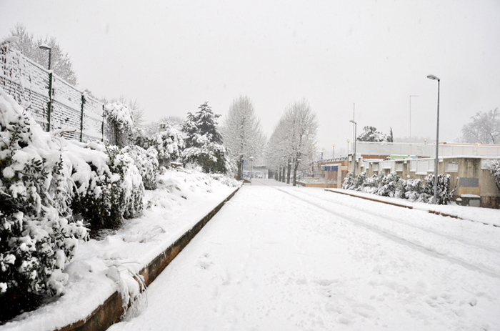 Aubagne neige 7 1 2009 (46)11h19 Allée du stade Delattre