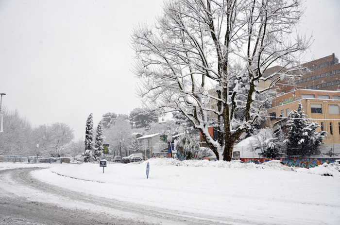 Aubagne neige 7 1 2009 (50)11h24 Rond Point Hopital