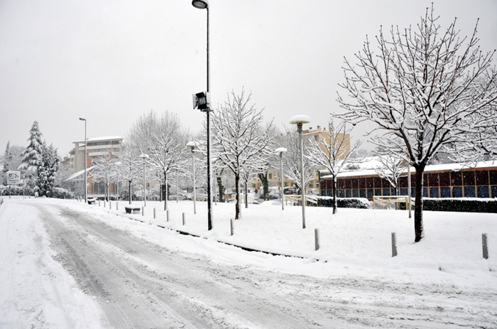 Aubagne neige 7 1 2009 (51)11h26