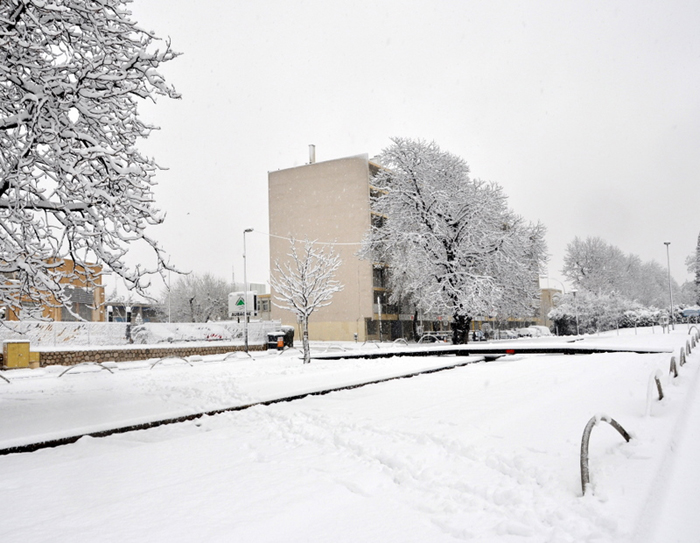 Aubagne neige 7 1 2009 (52)11h26