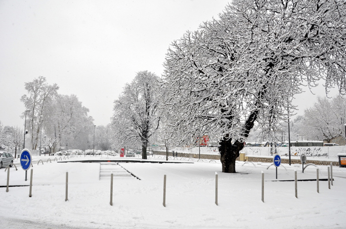 Aubagne neige 7 1 2009 (53)11h27