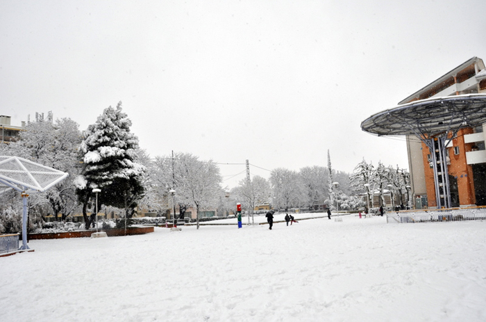 Aubagne neige 7 1 2009 (54)11h29 Espace Lucien Grimaud