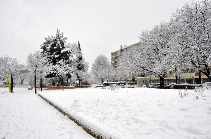 Aubagne neige 7 1 2009 (57)11h30 Espace Lucien Grimaud