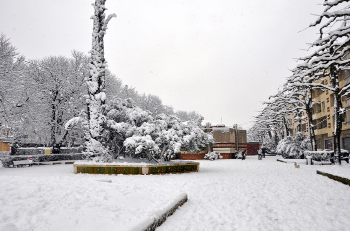Aubagne neige 7 1 2009 (58)11h30 Esplanade De Gaulle
