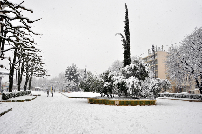 Aubagne neige 7 1 2009 (59)11h31 Esplanade De Gaulle
