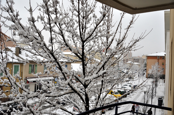 Aubagne neige 7 1 2009 (78)12h09