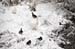 Aubagne neige 7 1 2009 (28)10h52 l'Huveaune