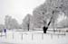 Aubagne neige 7 1 2009 (53)11h27