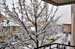 Aubagne neige 7 1 2009 (78)12h09