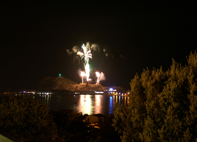 reception 14 juillet (55)