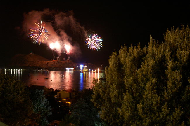 reception 14 juillet (59)