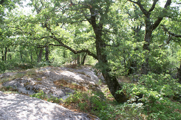 source-huveaune-18.6.06 (06)