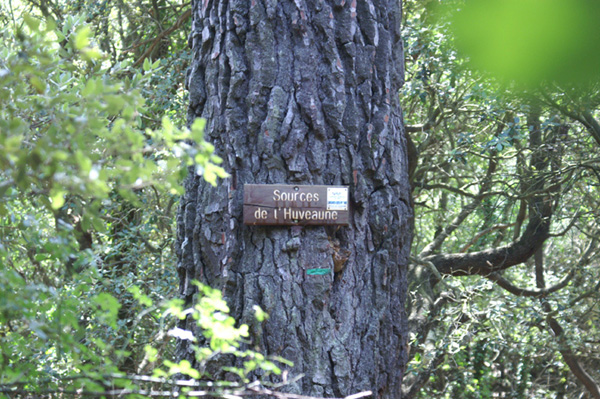 source-huveaune-18.6.06 (31)