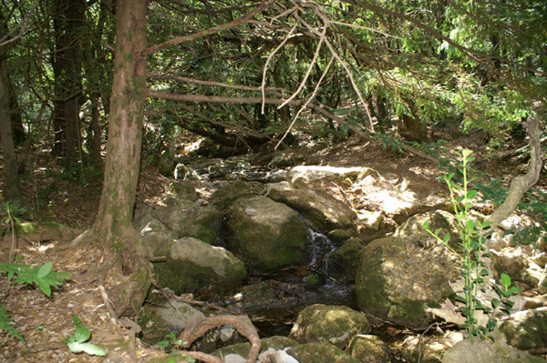 source-huveaune-18.6.06 (36)