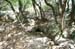 source-huveaune-18.6.06 (35)