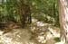source-huveaune-18.6.06 (39)