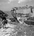 Bonifacio 2