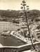 Calvi le port