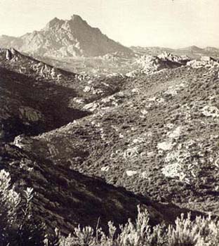 Agriates le desert