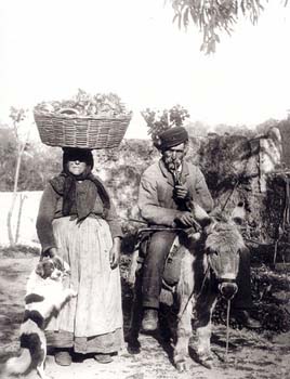 Paysan corses