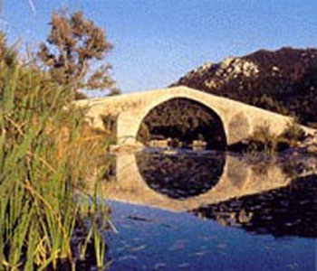 Pont spinu cavallu