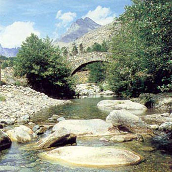 Pont sur le Golo